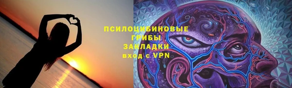 apvp Аркадак