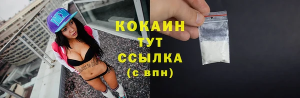 сатива Армянск