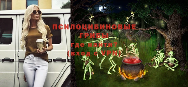 сатива Армянск